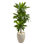 48" H Foliage Plant in Ceramic Planter