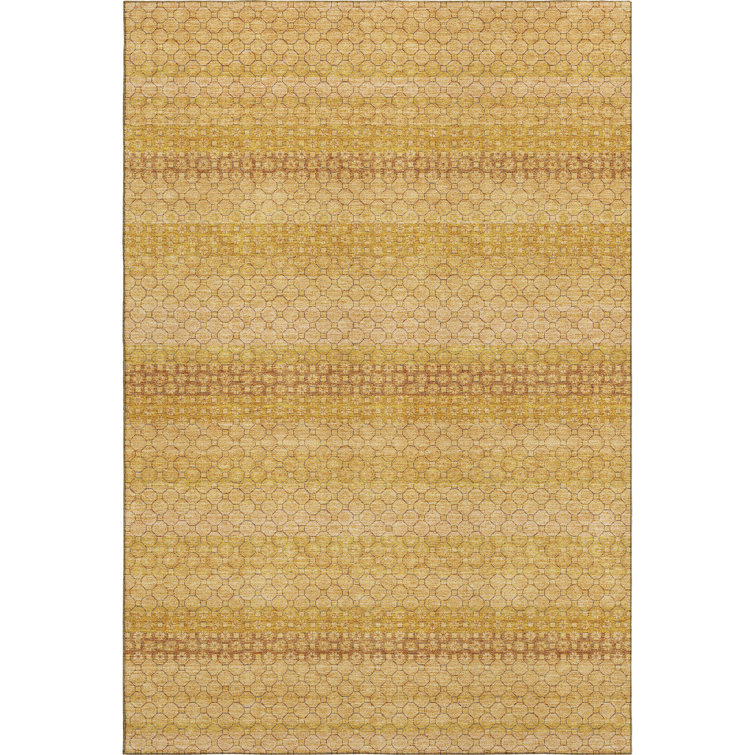 Premium Machine Washable Elize AMF1419 Stripes Rug