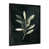 Black Picture Framed