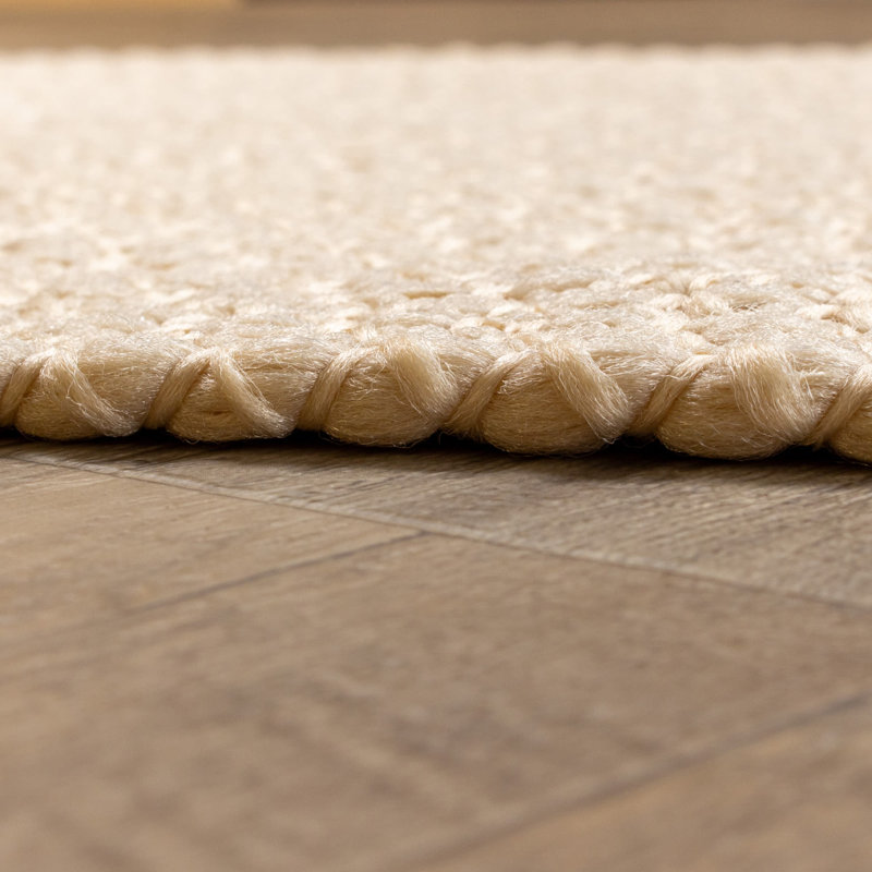 Solid Braided Farmhouse Performance Area Rug, Rectangle 2' x 4'