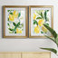 Carol Robinson - ensemble de 2 reproductions d'art-866418092-866418098-866418049