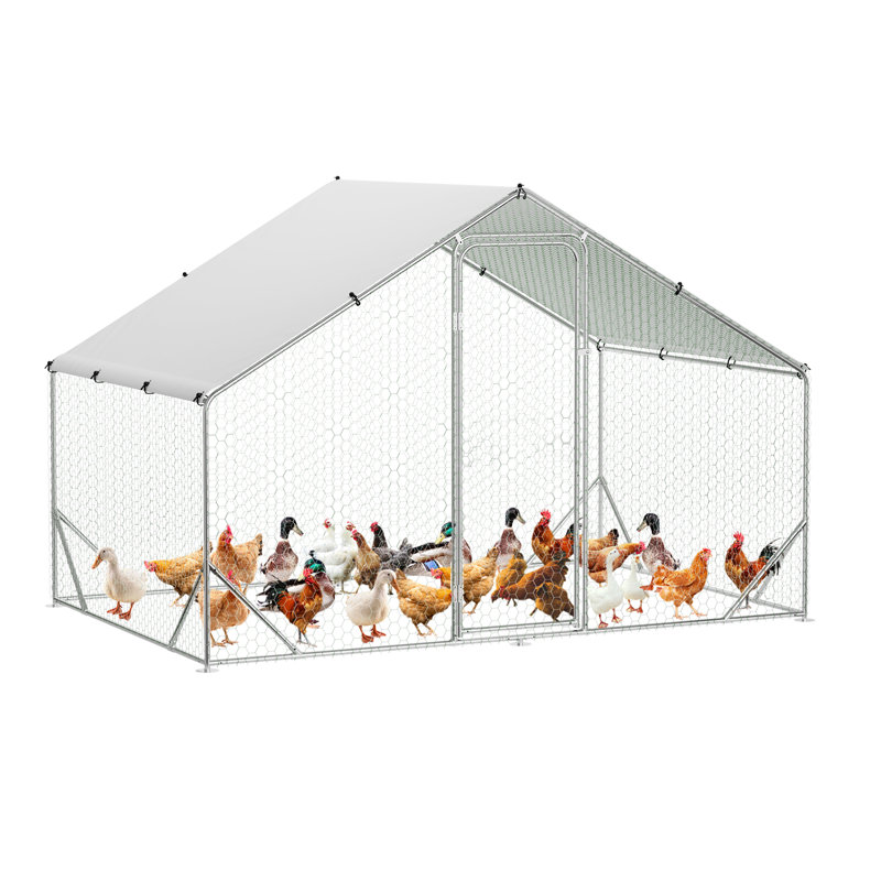 Chicken Run