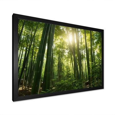 " Dynamic Light Bamboo Grove II "