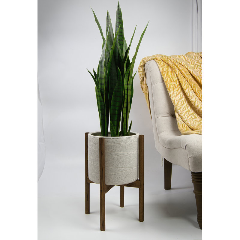 Pot à fleurs Jayzeon, Ivoire / miel, H 8 po x l 8,9 po x P 8,9 po