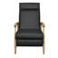 Modern Reclining Lounge Chair - Adjustable Backrest With Frame - Contemporary Living Room Accent-1534076272-1534084430