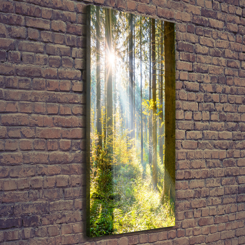 Sun In The Forest - Wrapped Canvas Print