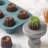 Chefmade 6 Cups Non-stick Muffin Pan