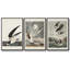 Pl 251 Pelican brun - ensemble de 3 cadres flottants sur toile-97710266-97710265