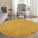 Esterly Gold Shaggy Rug