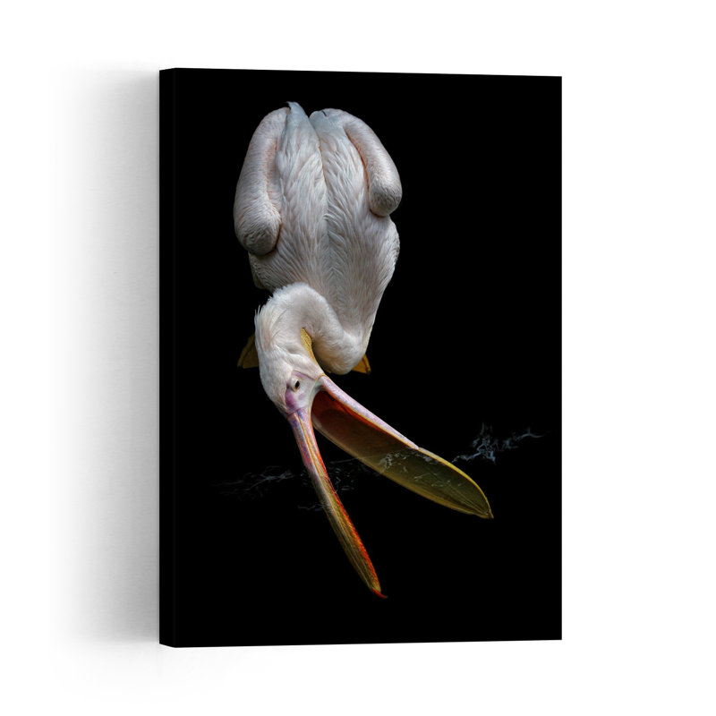White Pelican Open Beak Elegant Contemporary Bird Pelican Nature Portrait Wall Art Print 1 Piece Wrapped Canvas Wall Art