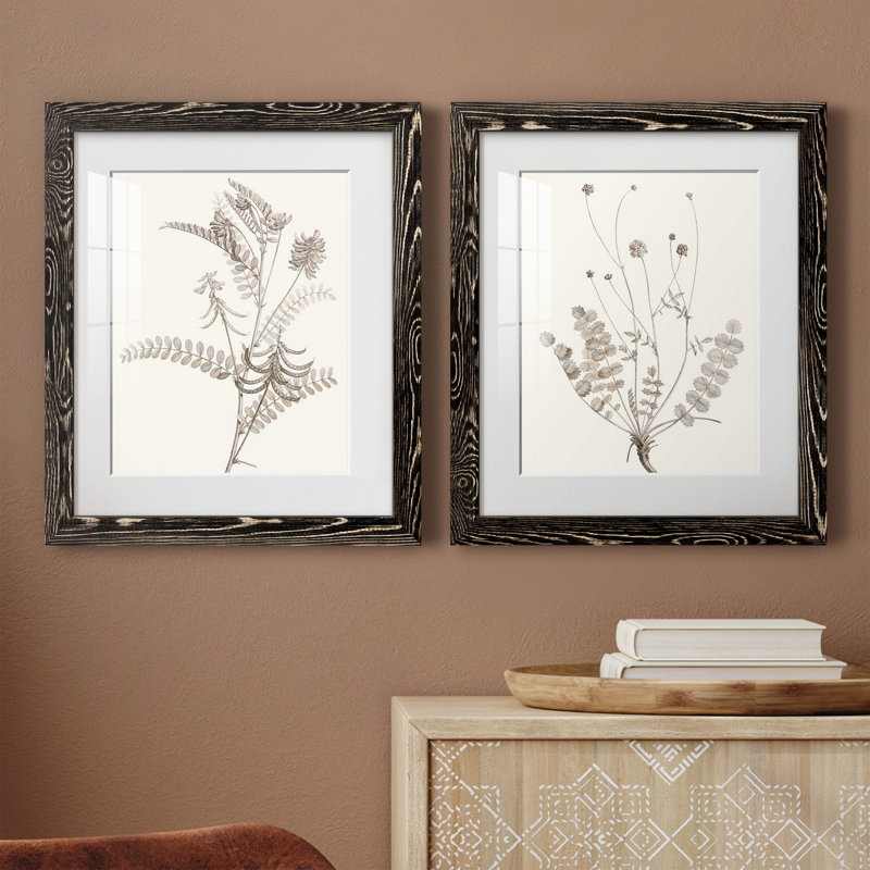 «Neutral Botanical Study VIIP», reproduction d'art encadrée - prête à être accrochée, H 31,5 po x l 47 po x P 1,5 po, Blanc