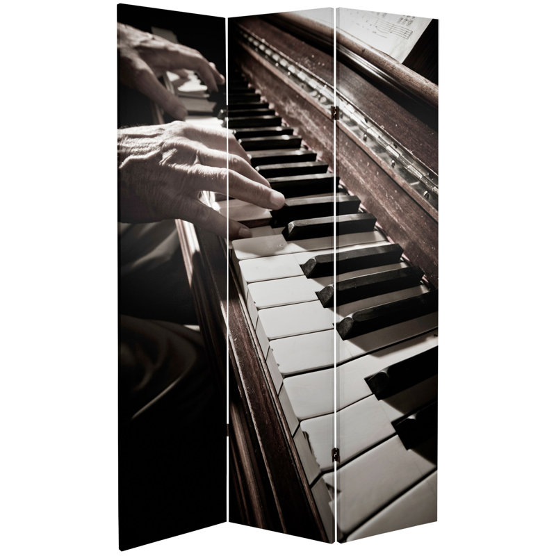 Paravent The Pianist Classical Music