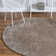 Indoor Rug