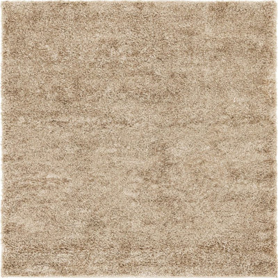 Indoor Rug