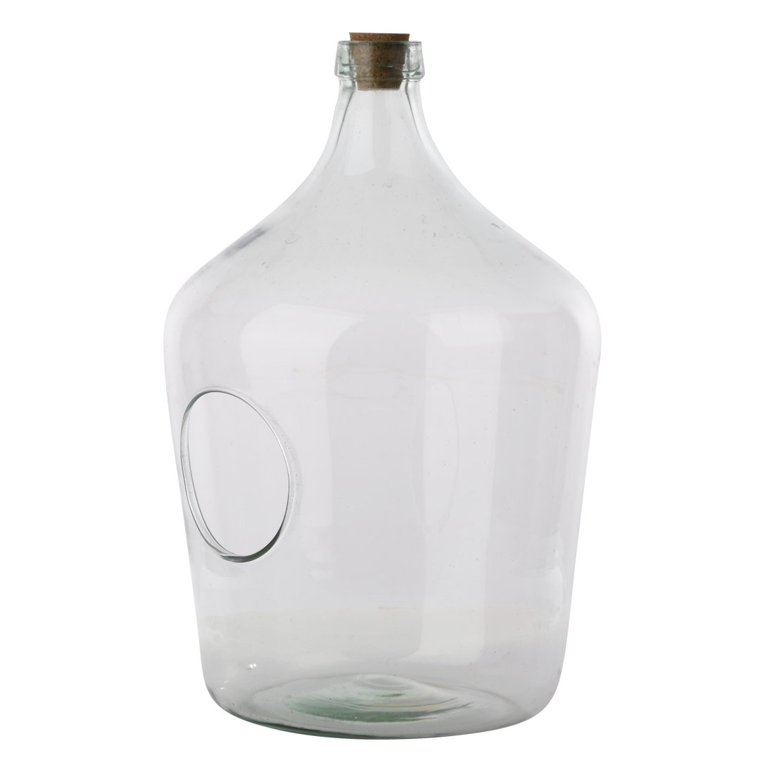 Open Terrarium Clear Bottle