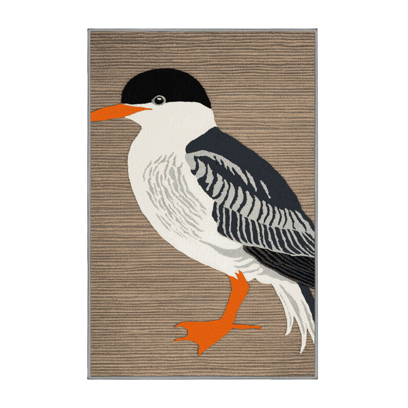  Tapis lavable Caspian Tern Birds, Rectangle 5 pi x 7 pi
