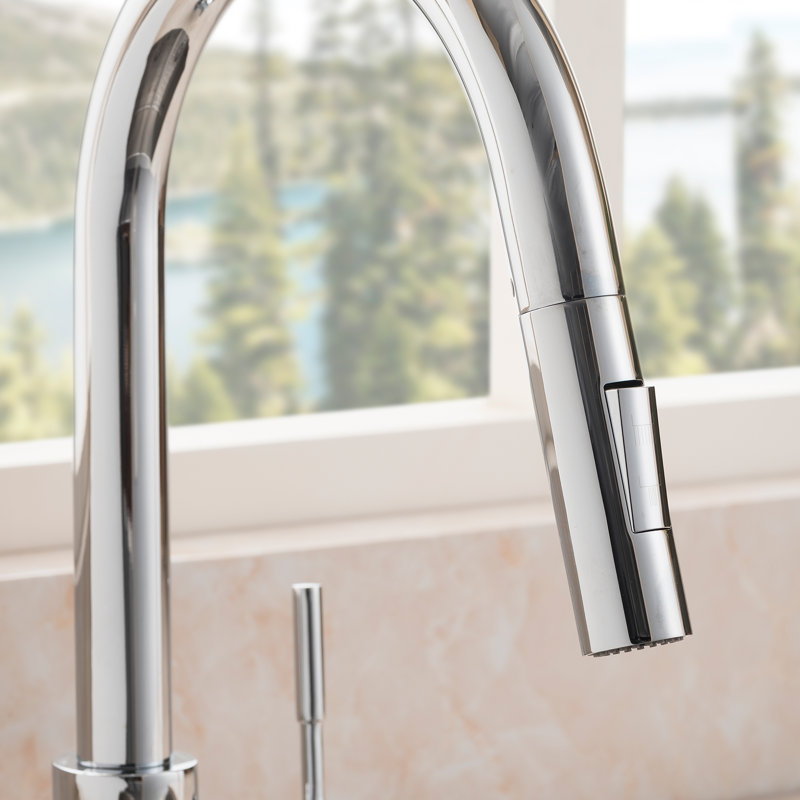 Gemini Single Handle Kitchen Faucet with Side Spray and Accessories, Chrome
