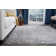 Majoros Floral Area Rug in Gray