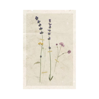 Pressed Lavender II 1 Piece Wrapped Canvas Painting