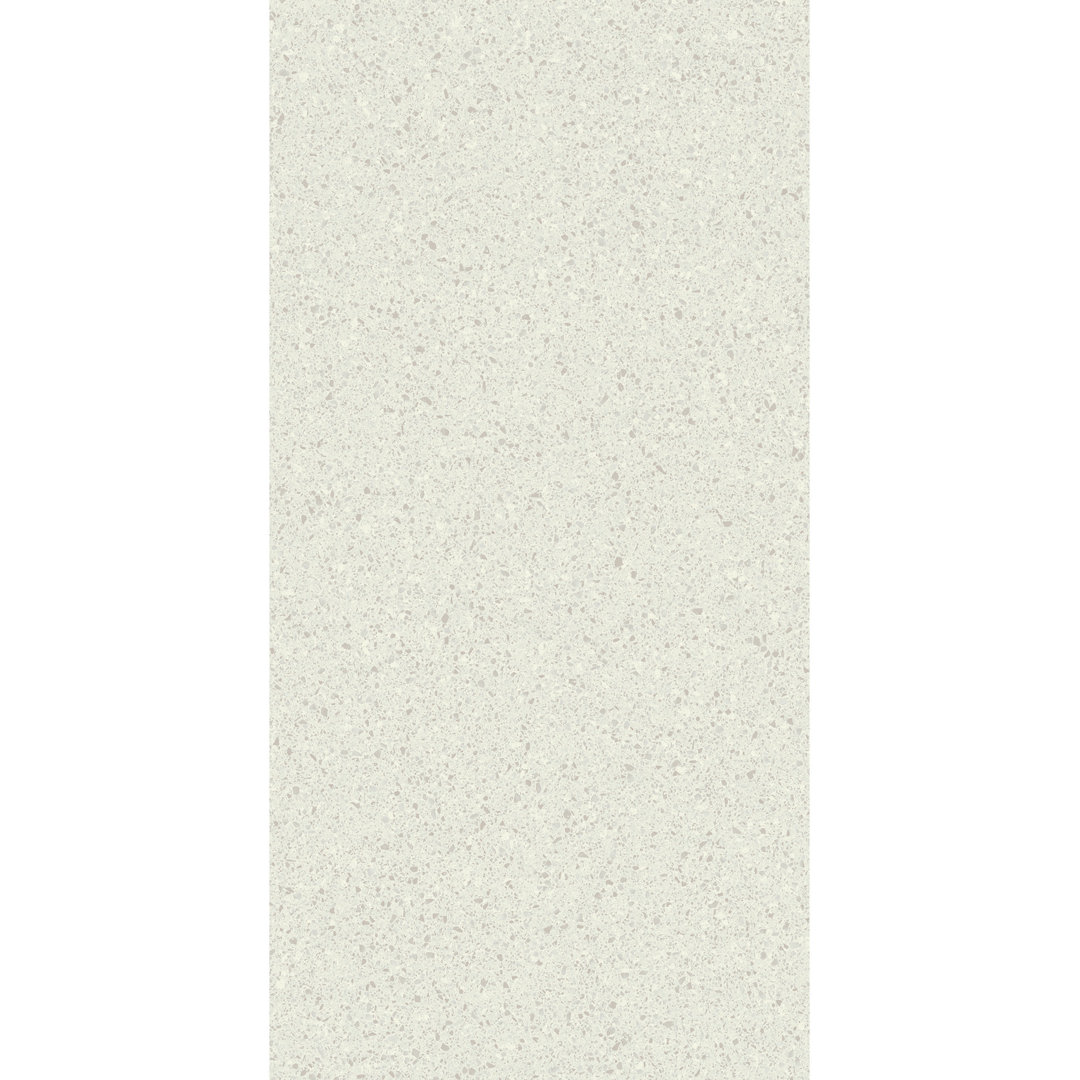 Birthplace 24" W x 48" L Porcelain Terrazzo Look Singular Tile PIXL 