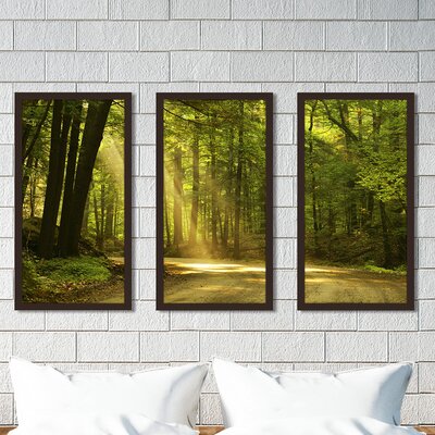 Morning Light I - 3 Piece Picture Frame Photograph Print Set on Acrylic -  Picture Perfect International, 704-2284-1224