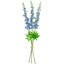 Tiges Delphinium-86731930