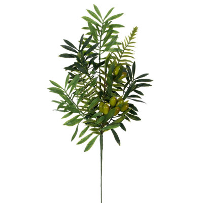 20,5 plante