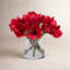 AMARYLLIS IN VASE-1771926531