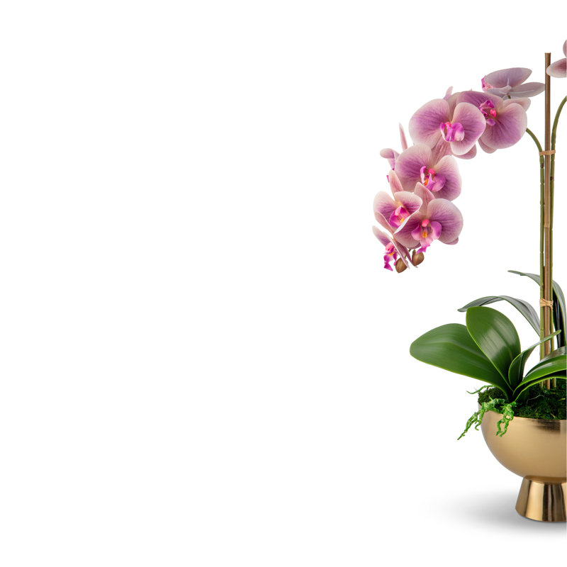 Orchidée Monet RealTouch en piédestal doré, Pervenche