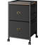40cm Wide 2 -Drawer Steel File Cabinet