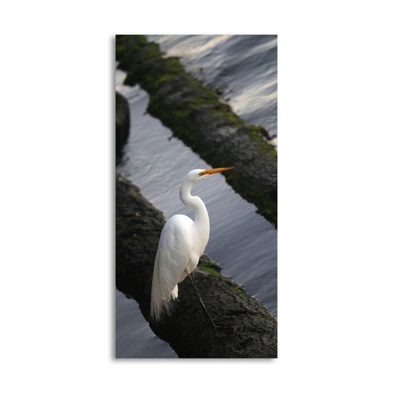 « white grues », reproduction de photo, H 36 po x l 18 po x P 0,01 po, Papier