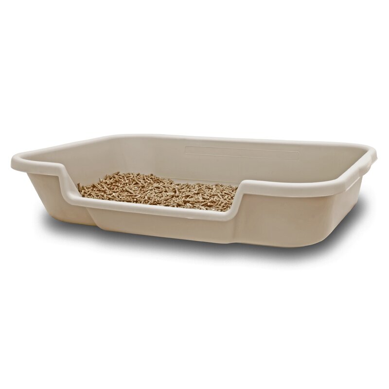 Tucker Murphy Pet™ Babbie Plastic Standard Litter Box & Reviews | Wayfair