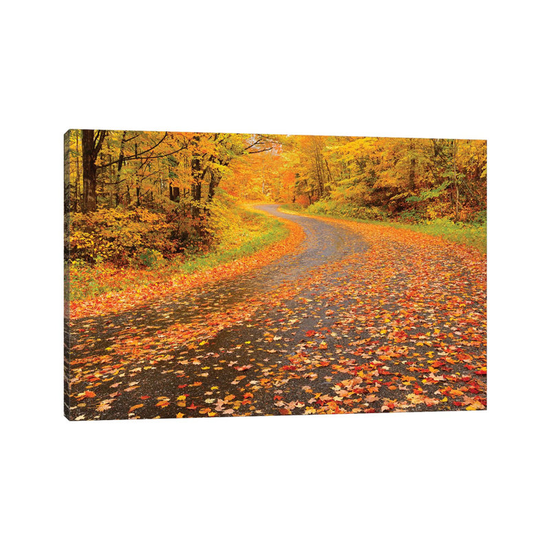 Canada, Ontario, Goulasi River by Jaynes Gallery - Wrapped Canvas Print, 66.04 cm H x 45.72 cm W