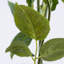 Pulvérisateur de rose artificiel-1476164140