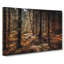 Within The Woods - Wrapped Canvas-55320132