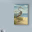 «Shore Bird I», reproduction de peinture acrylique sur toile tendue-33521972