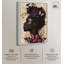 Art floral sur toile Butterfly Passion -712927555-712927563