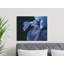 Schwarz Wrapped Canvas Print Set-1954340047