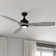 Ballog 52'' Ceiling Fan with LED Lights