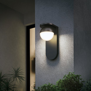 Bloom LED Wall Light