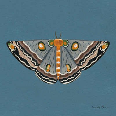 " Moth I "