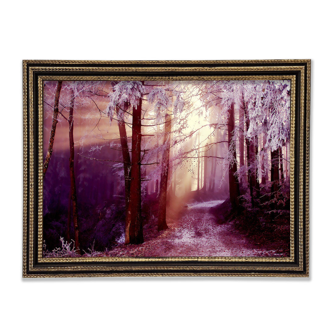 Winter Woodland Sunbeam - Druck