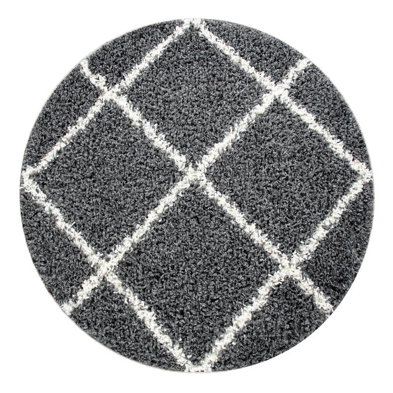 Tapis à poil long gris foncé Glaucio, Rond 5 pi 3 po