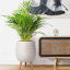 Concrete Effect Planter on Hardwood Legs, Round Indoor Plant Pot Stand for Indoor Plants, Indoor Flower Pot with Plaited Pattern-753632941-753632943