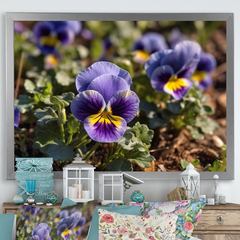 «Purple Yellow Pansies Harmony I» sur toile, Cadre simple argenté, H 34 po x l 44 po x P 1,5 po