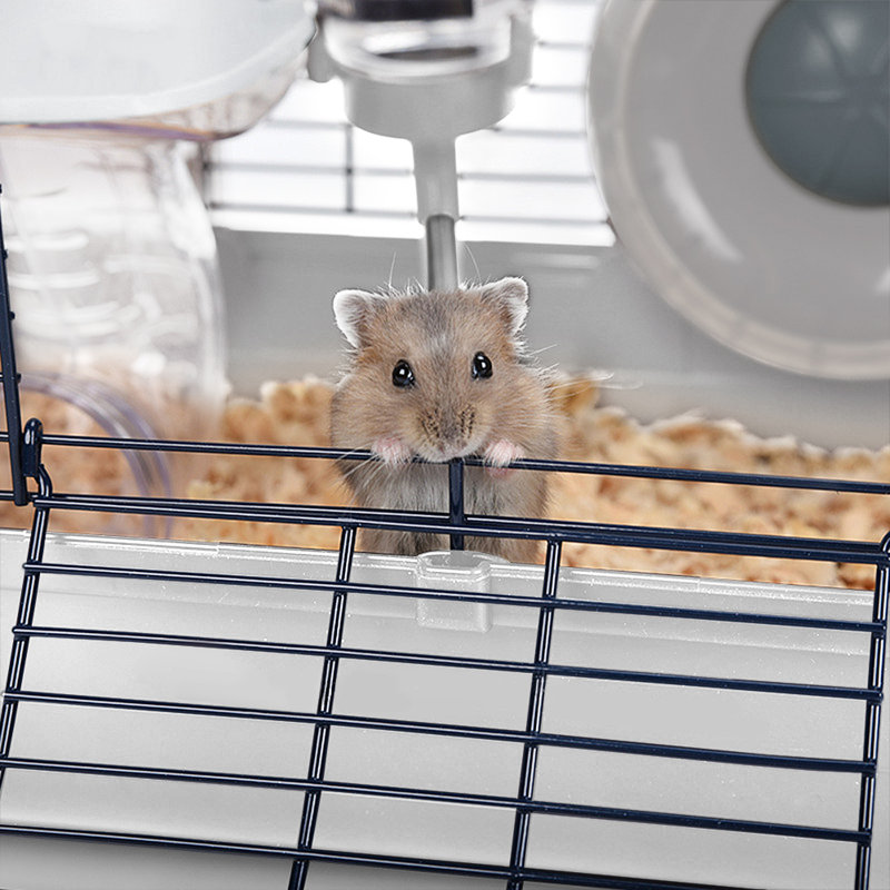 Mouse Cage