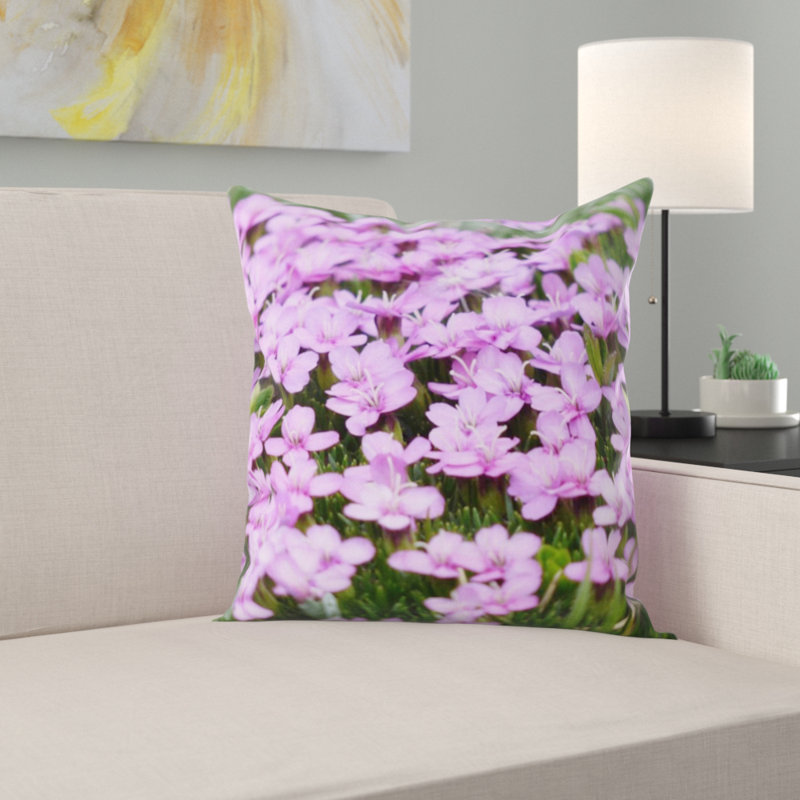 Coussin primula catchfly