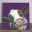 SAM FENNER Traditional Wall Decor on Ceramic