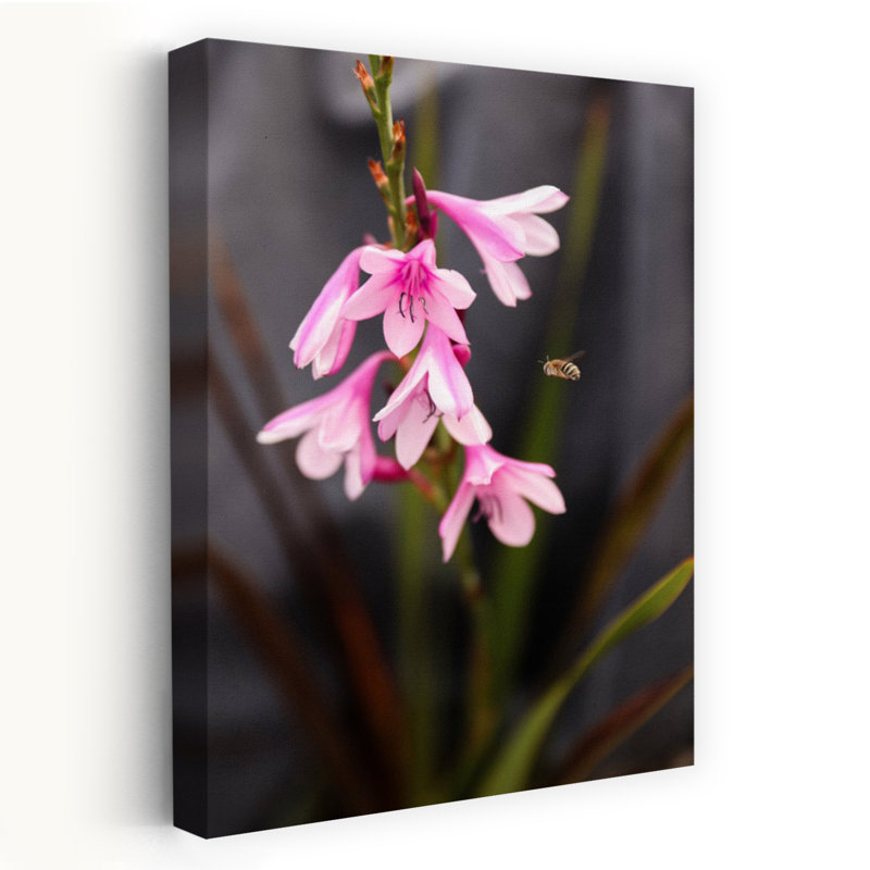 Contemporary Art Vibrant Contemporary Bee Flower Nature Art by Shot By Clint - Wrapped Canvas Print, 60.96 cm H x 40.64 cm W