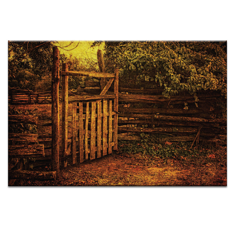 'Charisma' by Andrew Paranavitana Photographic Print Wrapped on Canvas